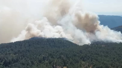 Sinop'taki orman yangınında son durum!