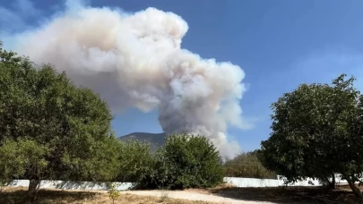 Denizli Pamukkale’de orman yangını!