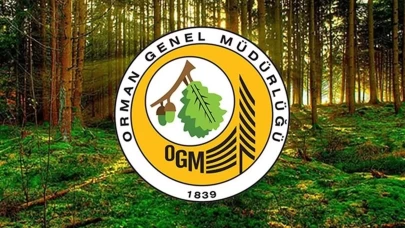 Yangın sonrası ormanlar yeniden yeşerecek: OGM’den kritik açıklama