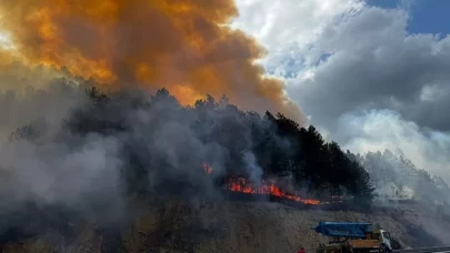 Bolu'da orman yangını!