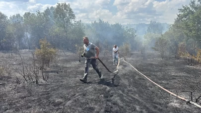 Kırklareli'nde çıkan orman yangını söndürüldü
