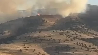 Sivas’ta anız yangını ağaçlık alana sıçradı