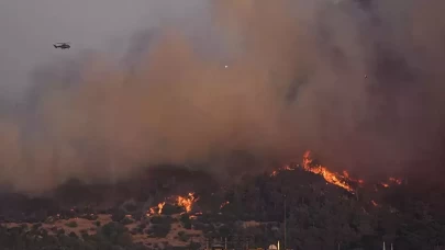 Buca'daki orman yangınıyla ilgili 1 kişi tutuklandı