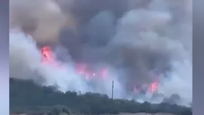 Bursa'da orman yangını!