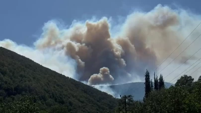 Orman yangınlarıyla mücadele sürüyor