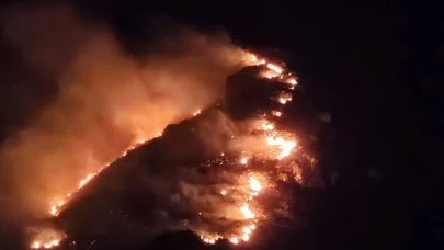 Balıkesir Marmara Adası'nda çıkan yangına müdahale ediliyor