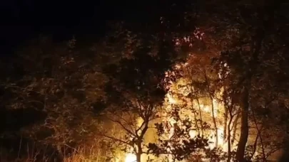 Çöplükte çıkan yangın ağaçlara sıçradı