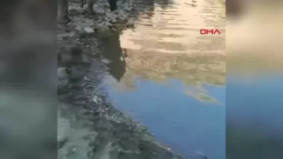 Bitlis'te derede balçığa saplanan genç boğuldu