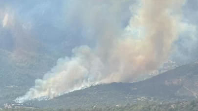Muğla'da yangın: Kısa sürede büyüdü!