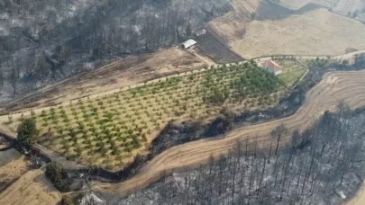 Gelibolu'daki yangında inanılmaz olay! Her yer yandı ceviz bahçesi öylece kaldı