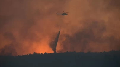 Orman yangınlarıyla mücadele sürüyor