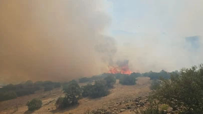 Balıkesir'de çıkan iki ayrı yangın söndürüldü