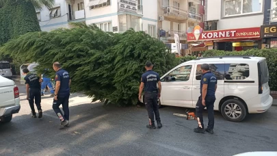 Aydın’da ağaç aracın üstüne devrildi