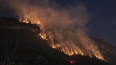 Orman yangınında 9 saat geride kaldı