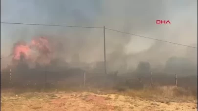 Bartın Amasra’da orman yangını 2 saatte kontrol altına alındı