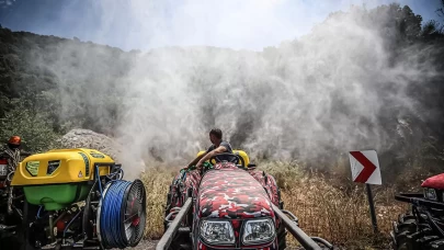 İstanbul'da yaklaşık 10 bin kişi orman gönüllüsü oldu