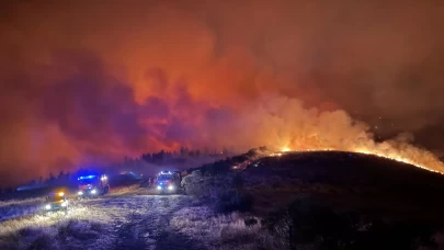 İspanya 14 farklı noktada orman yangını! 7 kişi hayatını kaybetti