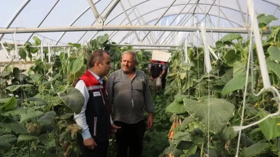 Edirne'de sera yatırımlarıyla tarımsal üretim kapasitesi artırılıyor