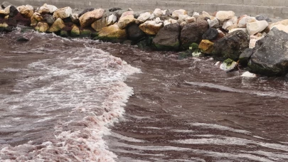Tekirdağ'da poyraz nedeniyle sahilin bir kısmı kırmızı yosunla kaplandı
