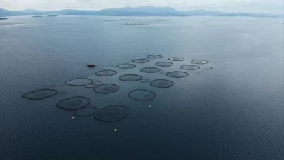 Su ürünlerinde üretim planlamasında olan tür sayısı 16'ya çıktı