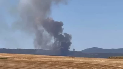 Bursa'da orman yangını...