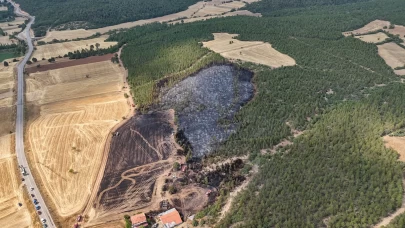 Uşak'ta ormana sıçrayan anız yangını söndürüldü