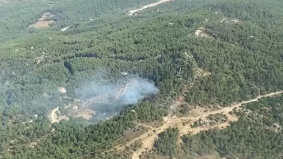 Milas’ta çıkan orman yangını kontrol altına alındı