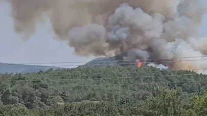 İzmir'de orman yangını