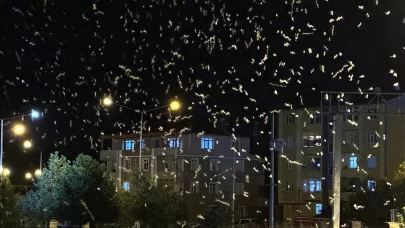 Ölüm dansı başladı!