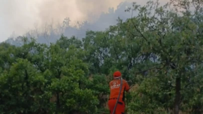 Bingöl'de çıkan orman yangını söndürüldü