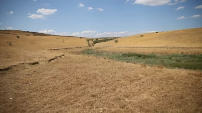 Besiciler, meralardaki hayvanlarına tankerlerle su taşıyor