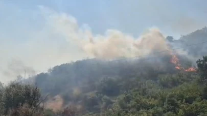 Balıkesir’de otluk ve makilik alanda çıkan yangın kontrol altına alındı