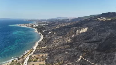 Çanakkale'de yangından geriye bu tablo kaldı! İşte o acı görüntüler