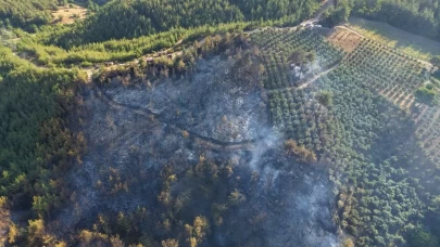 Osmaniye’deki orman yangını kontrol altına alındı