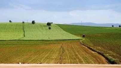 Ekilmeyen tarla kiralanacak