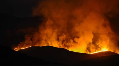 California'da orman yangını!
