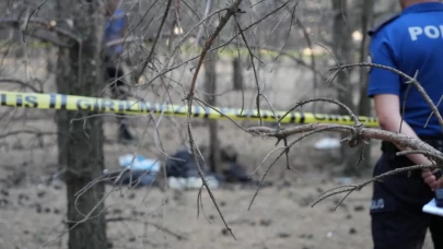 Erzurum'da ormanlık alanda erkek cesedi bulundu