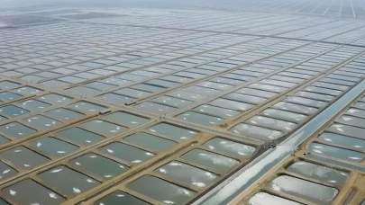 Adana’da dev yatırım: Avrupa'nın ve Türkiye'nin ilk 'Su Ürünleri OSB’si Kuruldu!