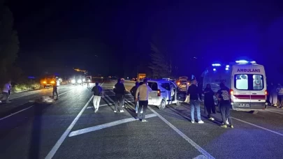 Bingöl'de ata çarpan hafif ticari araçtaki 1 kişi hayatını kaybetti