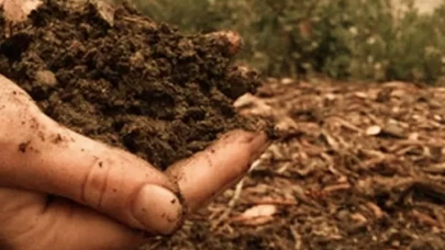 Doğru gübre seçimi! Bitkinizin ihtiyaçlarına göre hangi türü gübre tercih etmelisiniz?