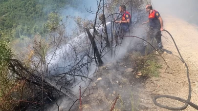 Türkeli’de ormanlık alanda yangın paniği