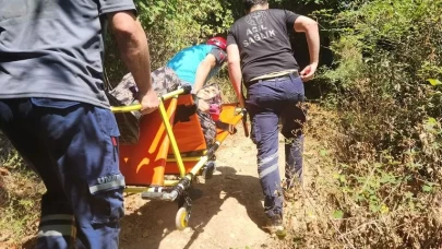 Yalova'da 75 yaşındaki kadın dağdan aşağı indirildi