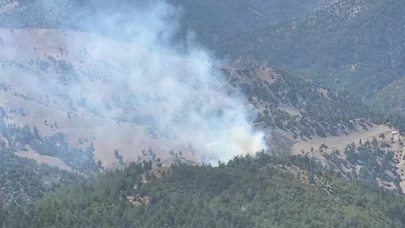 Adana'da orman yangını