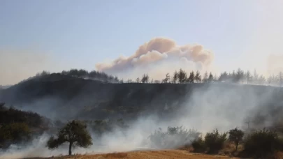 Gelibolu’da Orman Yangını Alarmı! Yolağzı Köyü Tedbiren Boşaltılıyor