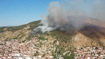 Tokat'taki orman yangını kontrol altına alındı