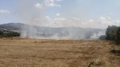 Samsun'da anız yangını ormana sıçramadan söndürüldü