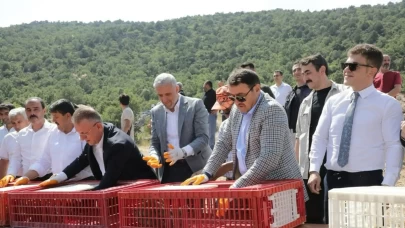 Kütahya’da 300 keklik doğaya salındı