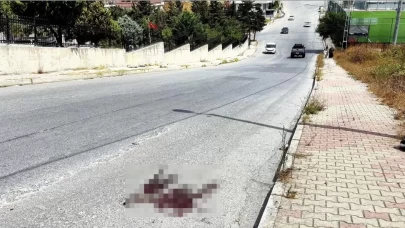 Mezarlık önünde kardeş kavgası cinayetle bitti