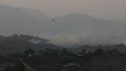 Adana'da orman yangını!
