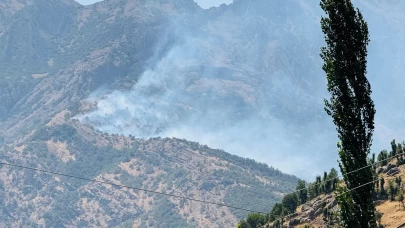 Şırnak'taki orman yangını 9 saatte kontrol altına alındı